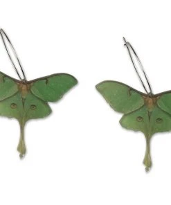 Nicoletta Carlone Shop "Susie" Luna Moth Earrings