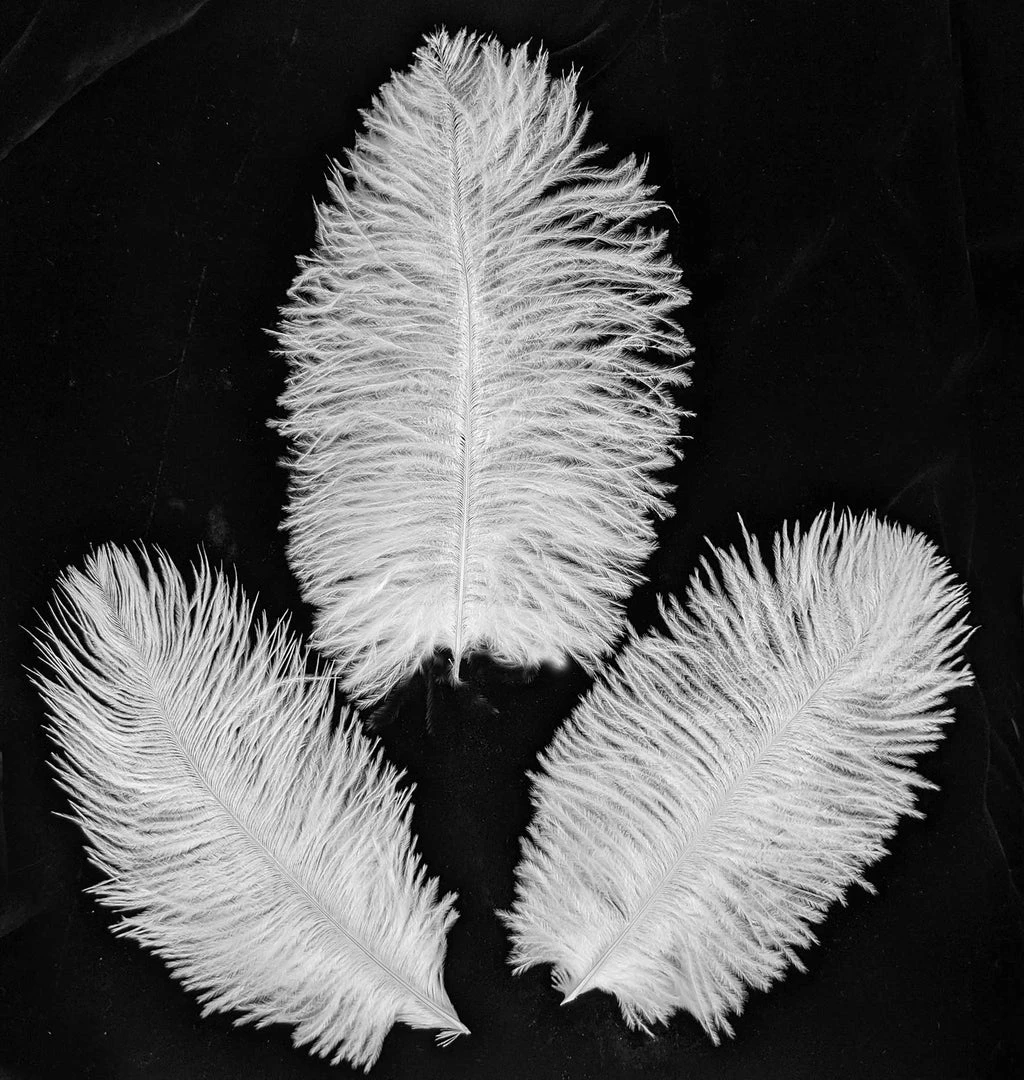 Nicoletta Carlone "Sadie" Feather Crown Nicoletta Carlone "Sadie" Feather Crown